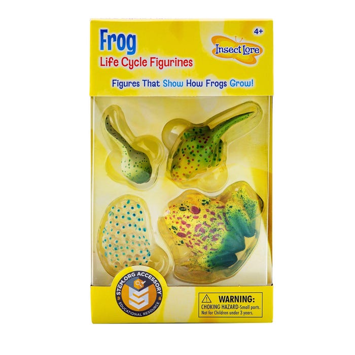 Insect Lore Frog Life Cycle Models, Set of 4