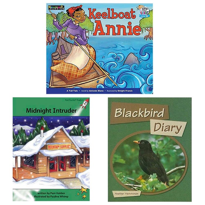 Achieve It! Guided Reading Variety Pack Book Collection, Reading Level N, Grade 3, Set of 16