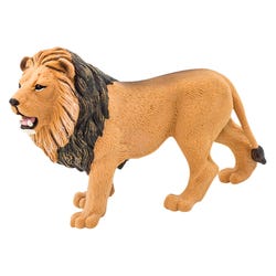 ANGLEIMAGES_FULLIMAGE