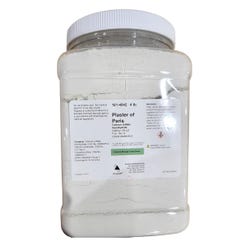 Delta Education Plaster of Paris, 4 Pounds