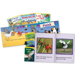 Leveled Readers, Leveled Books, Leveled Reading Books Supplies, Item Number 1468570