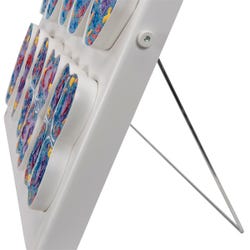 ANGLEIMAGES_FULLIMAGE