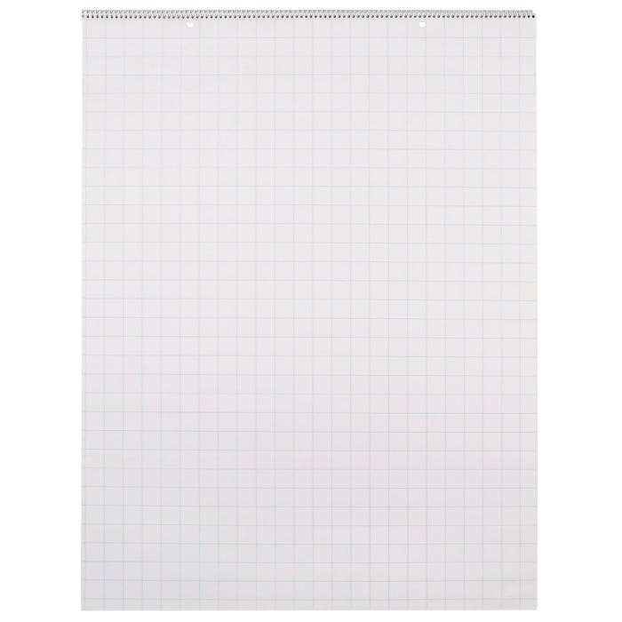 School Smart Chart Paper Pad, 24 x 32 Inches, 1 Inch Grids, 25 Sheets