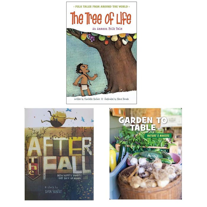 Achieve It! Choice & Voice Model Text Set , English, Grade 4, Set of 25