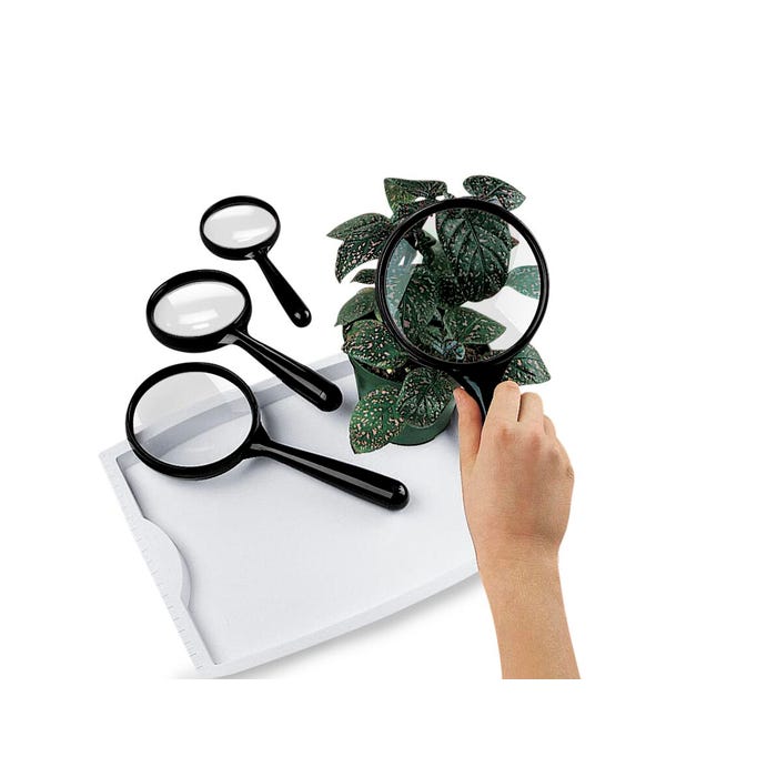 Delta Education Magnifiers, 3.5 Inch Lens, Pack of 10