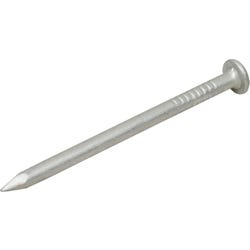 Delta Education Nails, Pack of 15