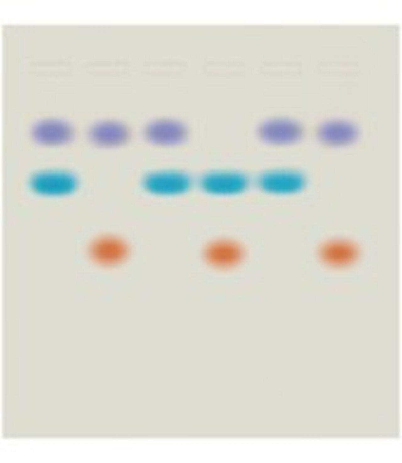 Edvotek Whose DNA was Left Behind? Kit