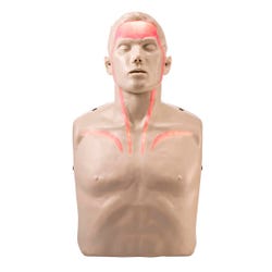 Brayden CPR Training Manikin with Red Indicator Lights