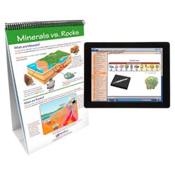 Rocks & Minerals, Item Number 2026931