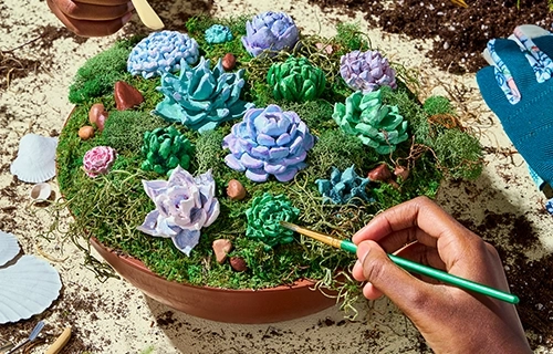 Community Succulent Garden