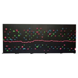 Everlast Climbing Black Light Traverse Wall Package, 40x8 Feet with 2 Inch Mats, Item Number 2102411