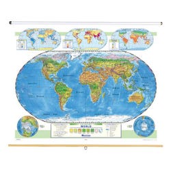Nystrom Land Cover World Roller Map, Item Number 1398268