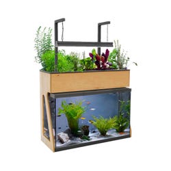AquaSprouts 29 Gallon Garden