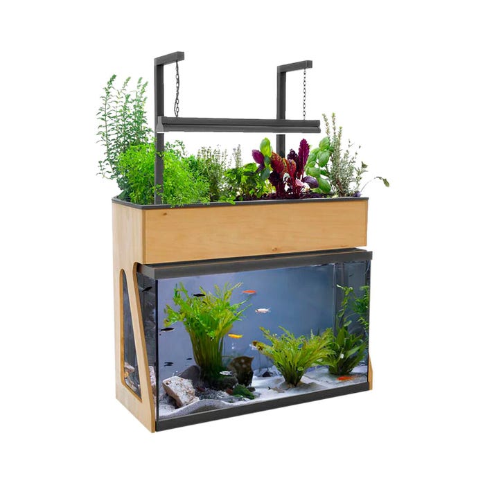 AquaSprouts 29 Gallon Garden