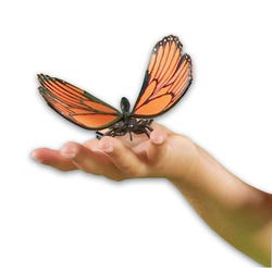 ANGLEIMAGES_FULLIMAGE