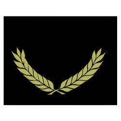 Hayes Certificate Folders, Gold Foil Stamped, Black, Pack of 30