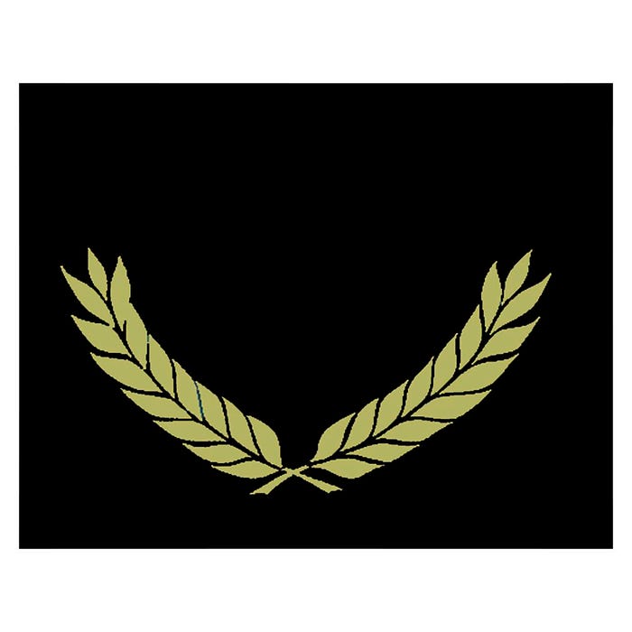 Hayes Certificate Folders, Gold Foil Stamped, Black, Pack of 30