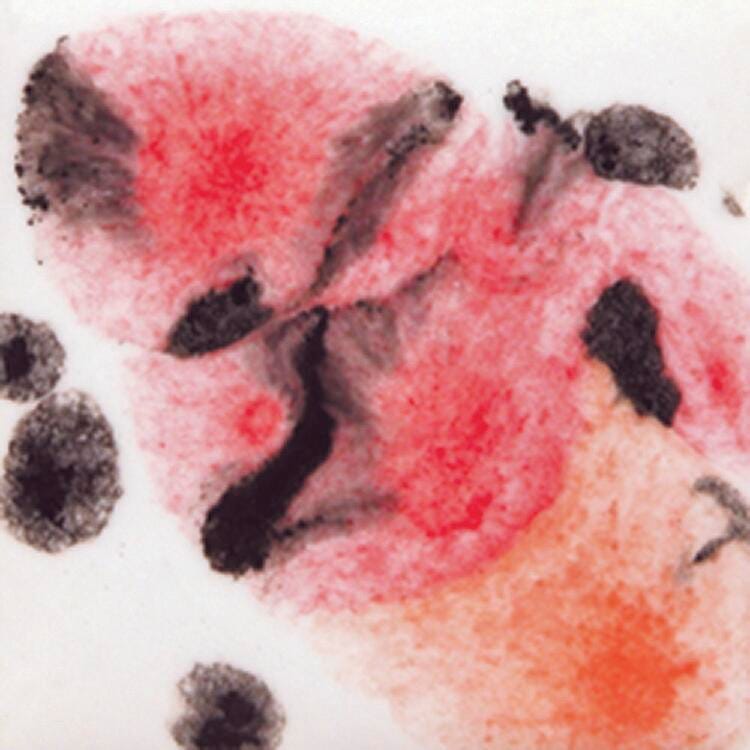 Sax Crystal Magic Glaze, Poppy Fields, 1 Pint 409368