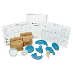 Rocks, Minerals, Fossils Supplies, Item Number 111-2681