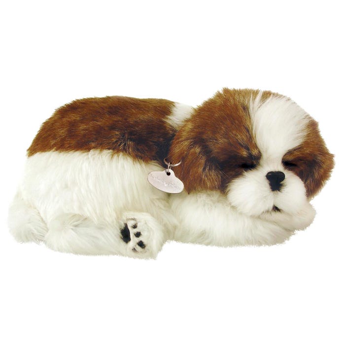 Perfect Petzzz Shih Tzu