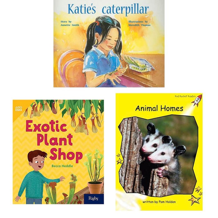 Achieve It! Guided Reading Class Pack Book Collection, Reading Level E, Grade 1, Set of 96