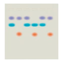 Edvotek Whose DNA was Left Behind? Kit