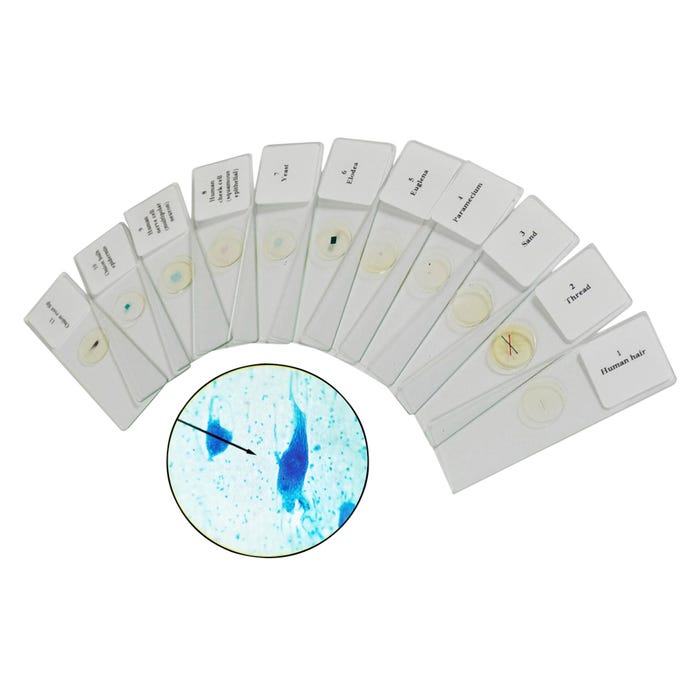 Innovating Science Cells - It's Alive! A Guided Inquiry - Refill 2132159