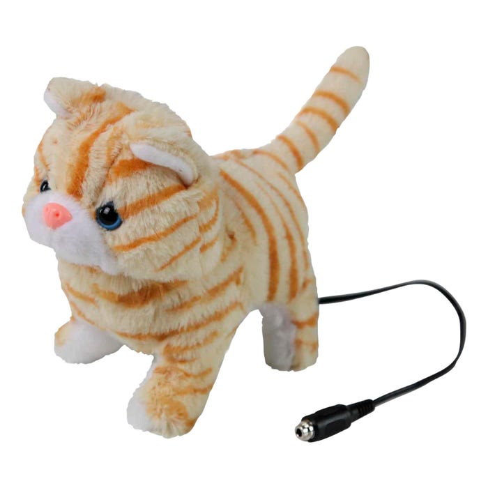 Enabling Devices Tabby Kitten