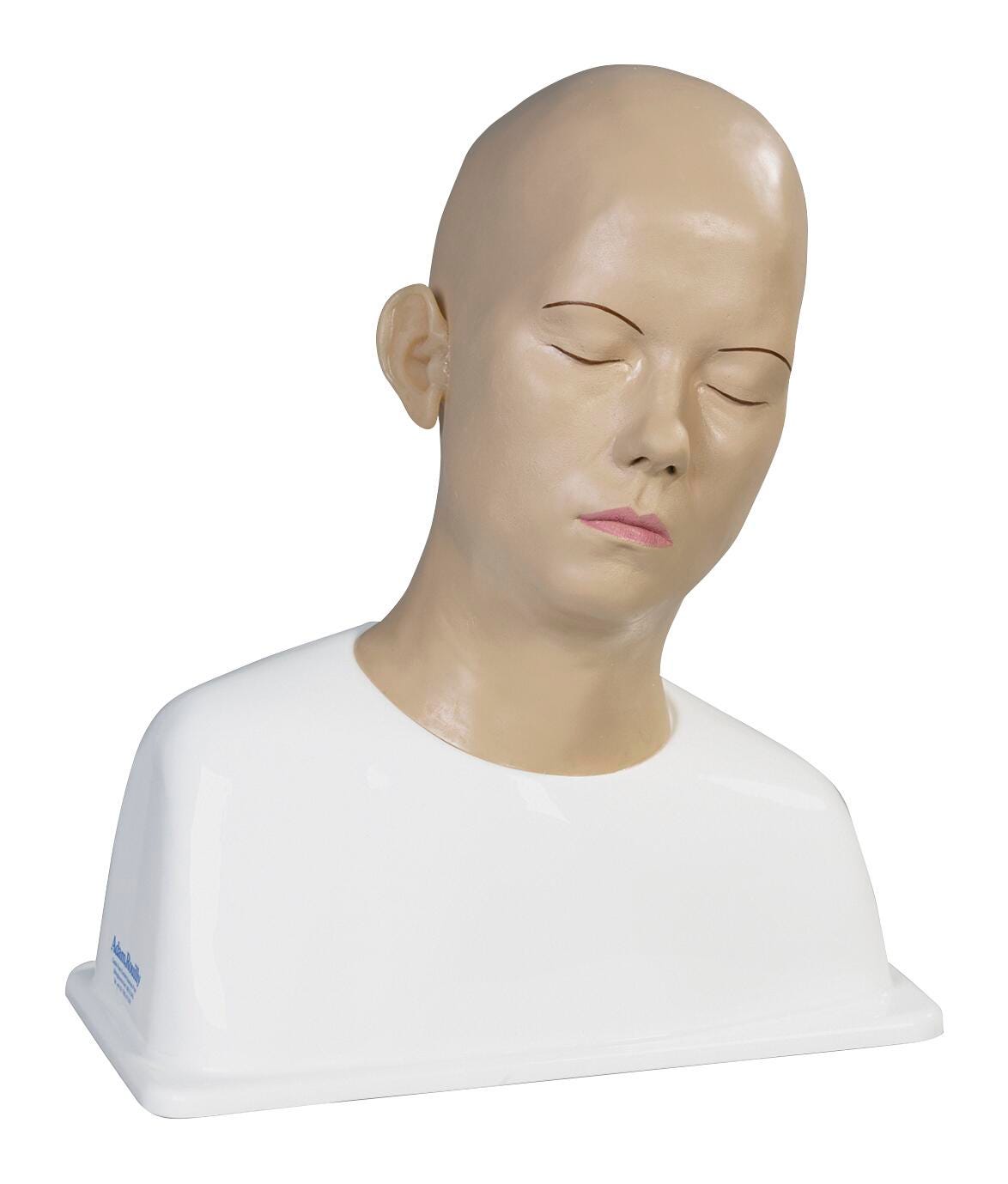 Ear Syringing Trainer 2218378