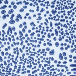 AMACO Crawls Glaze, Pint, CR-20 Dark Blue
