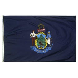 Annin Nylon Maine Indoor State Flag, 3 X 5 ft, Item Number 023348