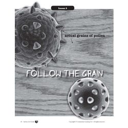 ANGLEIMAGES_FULLIMAGE