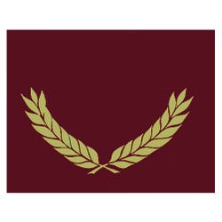 Hayes Certificate Folders, Gold Foil Stamped, Maroon, Pack of 30, Item Number 2019609