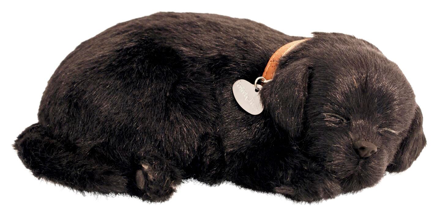 Perfect Petzzz Black Lab 2121978