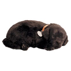 Perfect Petzzz Black Lab 2121978