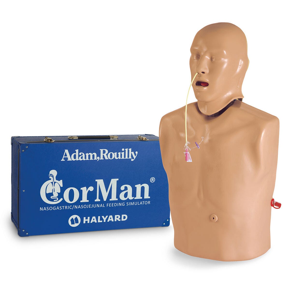 Image for CorMan® Adult Nasogastric/Nasojejunal Feeding Trainer from School Specialty
