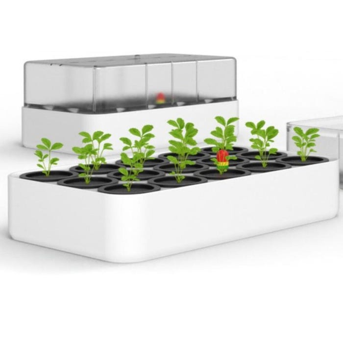 JiGi Originals Germination Station, White