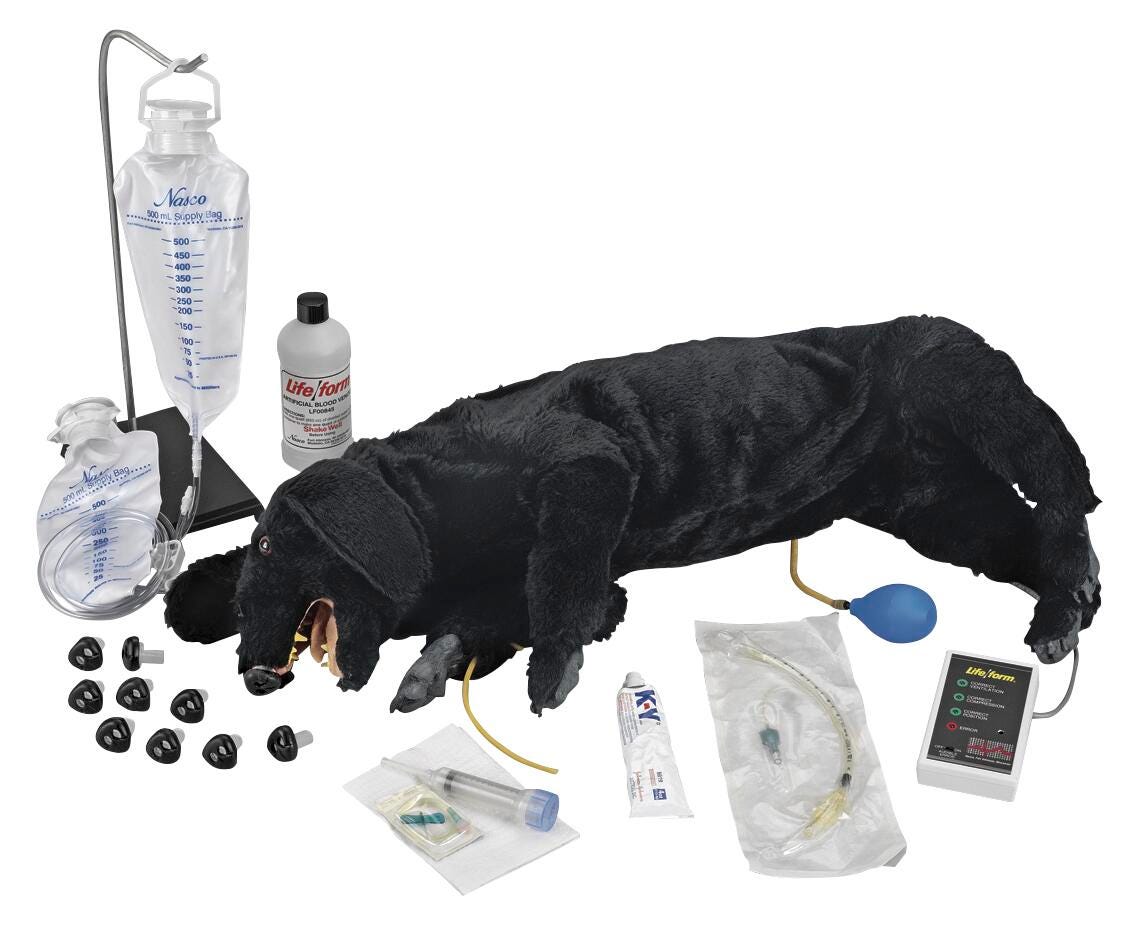 Image for Life/form® Advanced Sanitary CPR Dog from School Specialty