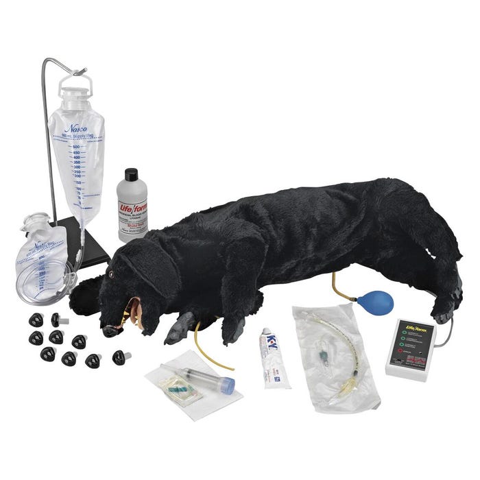 Advanced Sanitary CPR Dog