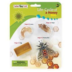 Life Science Products, Books Supplies, Item Number 1430031