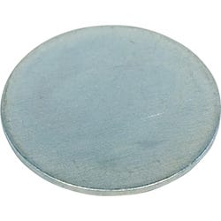 Delta Education Metal Disk, 11 Grams, Pack of 10