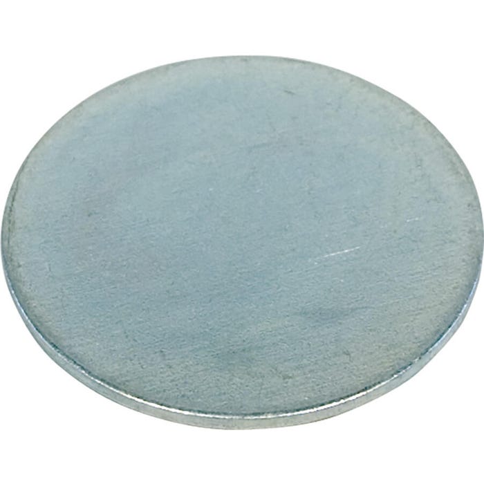 Delta Education Metal Disk, 11 Grams, Pack of 10