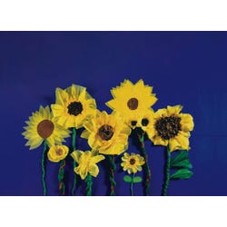 ANGLEIMAGES_FULLIMAGE