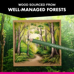 ANGLEIMAGES_FULLIMAGE