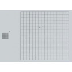 Frey Scientific Grid Slide Pack of 15, Item Number 1008717