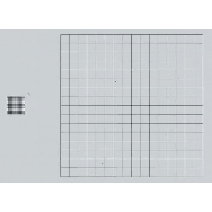 Frey Scientific Grid Slide Pack of 15