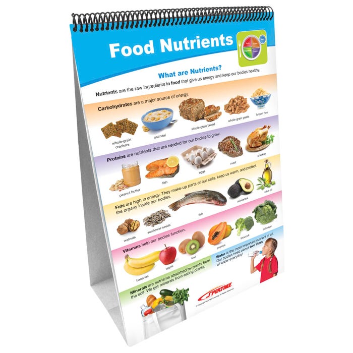 Sportime MyPlate Food Groups Flip Charts, Grades 1 to 4, Set of 10