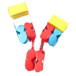 NewPath Learning Antibodies 3-D Model Kit, 1 Teacher Guide and 5 Student Guides 2087436