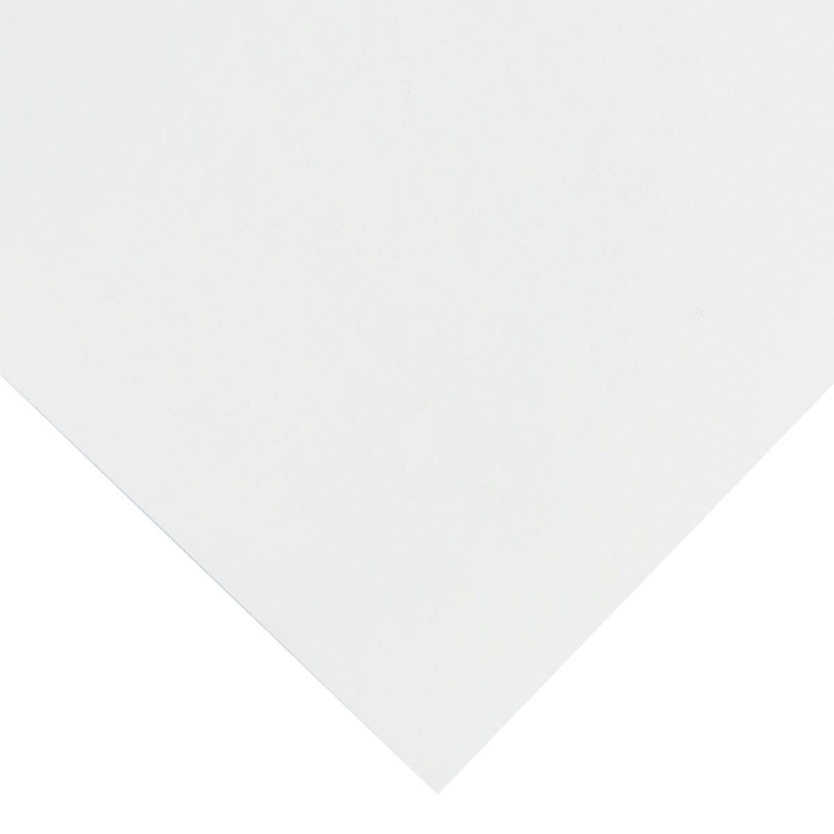 Nasco Thrifty Buy Poster Board Special, 11 x 14 Inches, 12 pt, Pack of 500