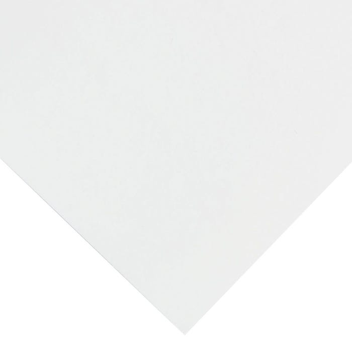 Nasco Thrifty Buy Poster Board Special, 11 x 14 Inches, 12 pt, Pack of 500